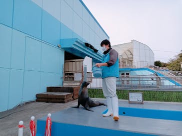 南知多ビーチランド＆南知多おもちゃ王国に投稿された画像（2022/3/21）