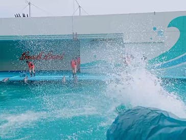 南知多ビーチランド＆南知多おもちゃ王国に投稿された画像（2022/3/21）