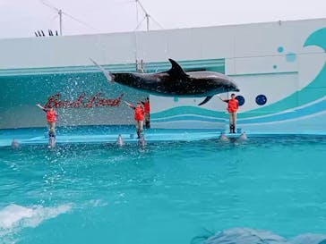 南知多ビーチランド＆南知多おもちゃ王国に投稿された画像（2022/3/21）