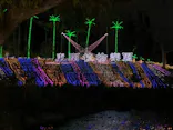 美らヤシパークオキナワ・東南植物楽園に投稿された画像（2022/3/16）