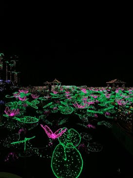 美らヤシパークオキナワ・東南植物楽園に投稿された画像（2022/3/16）