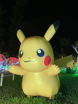 美らヤシパークオキナワ・東南植物楽園に投稿された画像（2022/3/16）