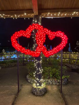 美らヤシパークオキナワ・東南植物楽園に投稿された画像（2022/3/16）