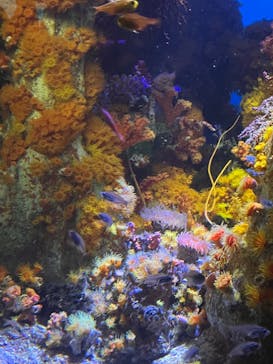 サンシャイン水族館に投稿された画像（2022/3/21）