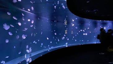 サンシャイン水族館に投稿された画像（2022/3/21）