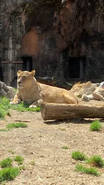 天王寺動物園に投稿された画像（2022/3/21）