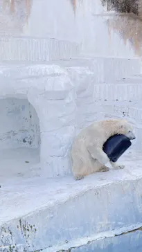 天王寺動物園に投稿された画像（2022/3/21）