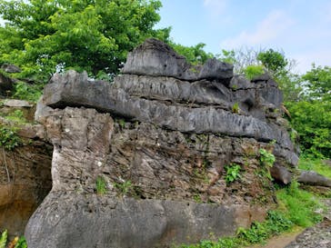 今帰仁城跡に投稿された画像（2022/3/22）