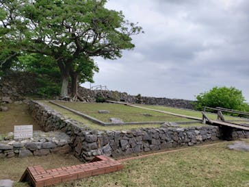 今帰仁城跡に投稿された画像（2022/3/22）