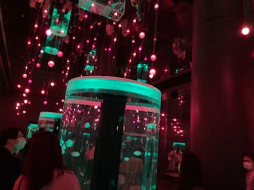 マクセル アクアパーク品川に投稿された画像（2022/3/22）