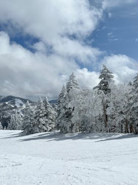 志賀高原焼額山スキー場に投稿された画像（2022/3/22）