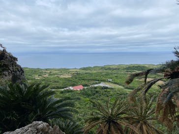 アスムイハイクスに投稿された画像（2022/3/22）