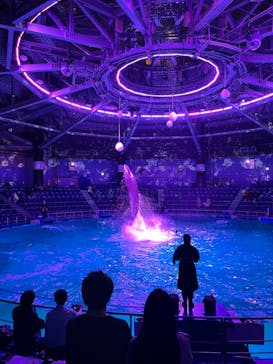 マクセル アクアパーク品川に投稿された画像（2022/3/22）