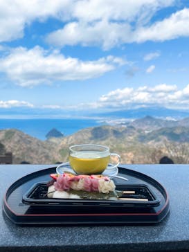 伊豆パノラマパークに投稿された画像（2022/3/22）