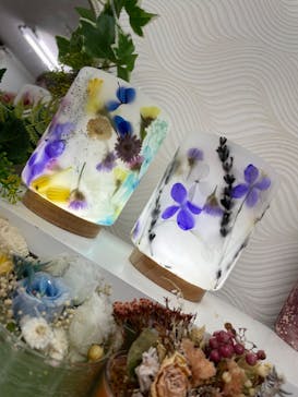 ずこうしつ〜sugamo〜に投稿された画像（2022/3/22）