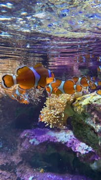 サンシャイン水族館に投稿された画像（2022/3/22）