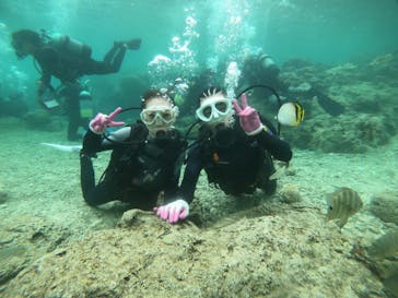 武藤潜水に投稿された画像（2022/3/22）