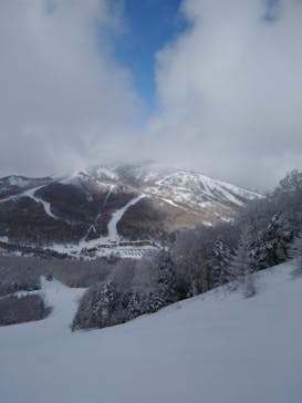 志賀高原マウンテンリゾートに投稿された画像（2022/3/22）