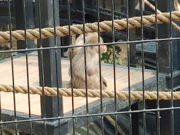 沖縄こどもの国に投稿された画像（2022/3/22）