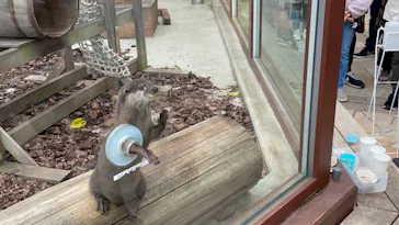 横浜・八景島シーパラダイスに投稿された画像（2022/3/22）