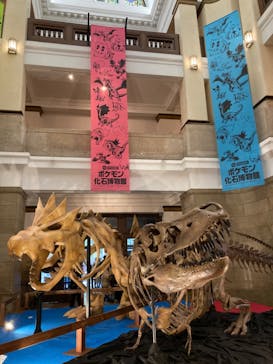 国立科学博物館　特別企画展「ポケモン化石博物館」に投稿された画像（2022/3/22）