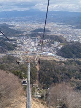 伊豆パノラマパークに投稿された画像（2022/3/22）