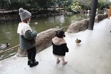 神戸どうぶつ王国に投稿された画像（2022/3/22）