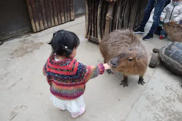 神戸どうぶつ王国に投稿された画像（2022/3/22）