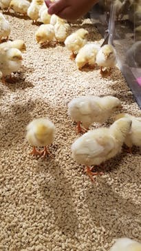 Moff animal world MARK IS みなとみらい店に投稿された画像（2022/3/22）