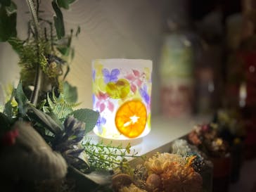 ずこうしつ〜sugamo〜に投稿された画像（2022/3/22）