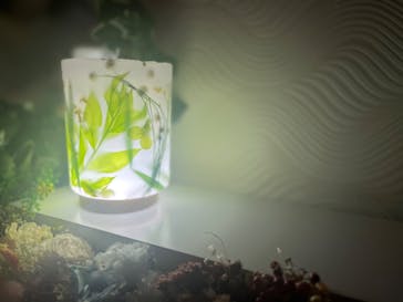 ずこうしつ〜sugamo〜に投稿された画像（2022/3/22）