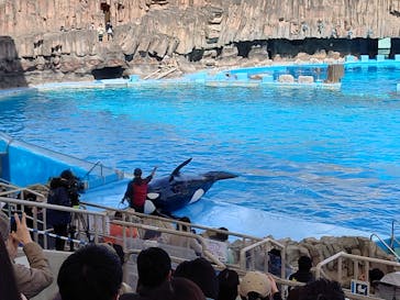 名古屋港水族館に投稿された画像（2022/3/22）