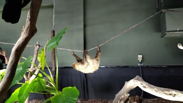 カワスイ 川崎⽔族館に投稿された画像（2022/3/22）