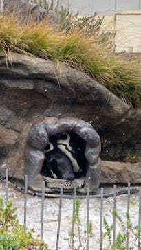 サンシャイン水族館に投稿された画像（2022/3/22）