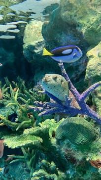 サンシャイン水族館に投稿された画像（2022/3/22）