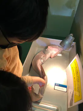 横浜・八景島シーパラダイスに投稿された画像（2022/3/22）