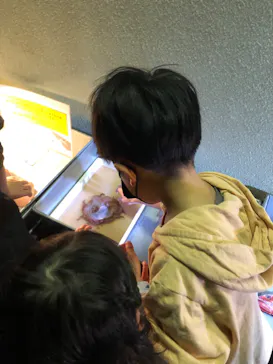 横浜・八景島シーパラダイスに投稿された画像（2022/3/22）