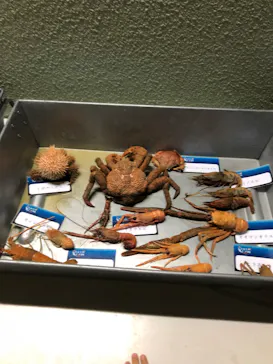 横浜・八景島シーパラダイスに投稿された画像（2022/3/22）