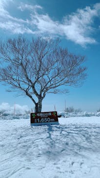 野沢温泉スキー場に投稿された画像（2022/3/22）