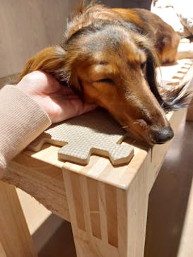 Moff animal world MARK IS みなとみらい店に投稿された画像（2022/3/22）