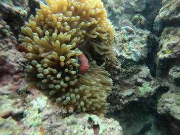 武藤潜水に投稿された画像（2022/3/22）