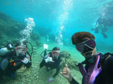 武藤潜水に投稿された画像（2022/3/23）