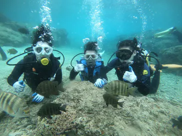 武藤潜水に投稿された画像（2022/3/23）