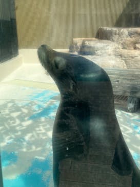 サンシャイン水族館に投稿された画像（2022/3/23）
