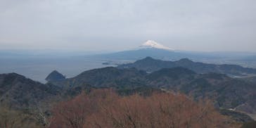 伊豆パノラマパークに投稿された画像（2022/3/23）