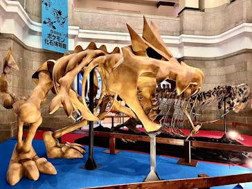 国立科学博物館　特別企画展「ポケモン化石博物館」に投稿された画像（2022/3/23）