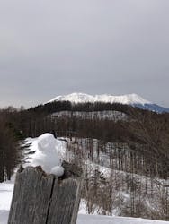 やぶはら高原スキー場に投稿された画像（2022/3/23）