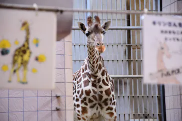 天王寺動物園に投稿された画像（2022/3/23）