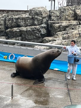 大分マリーンパレス水族館 「うみたまご」に投稿された画像（2022/3/23）