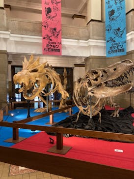 国立科学博物館　特別企画展「ポケモン化石博物館」に投稿された画像（2022/3/23）